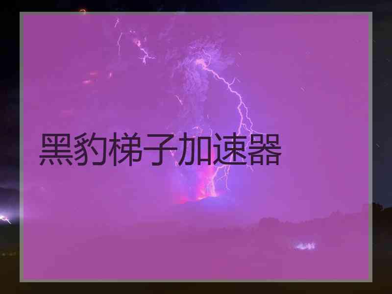 黑豹梯子加速器