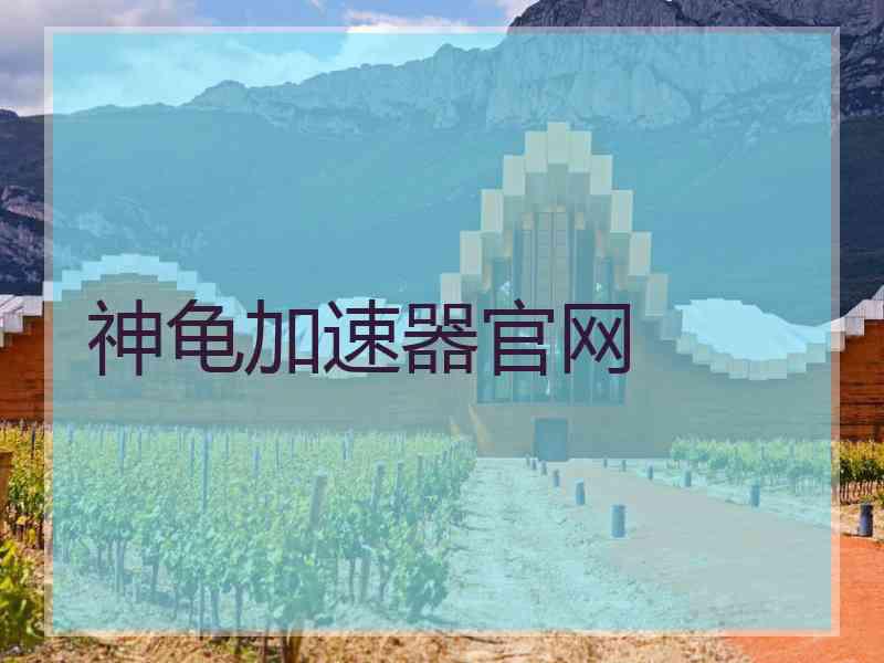 神龟加速器官网