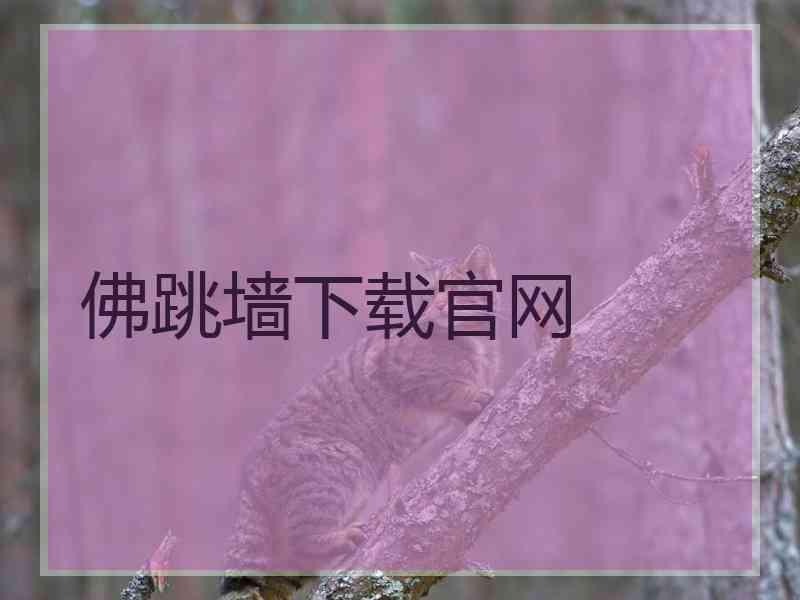 佛跳墙下载官网