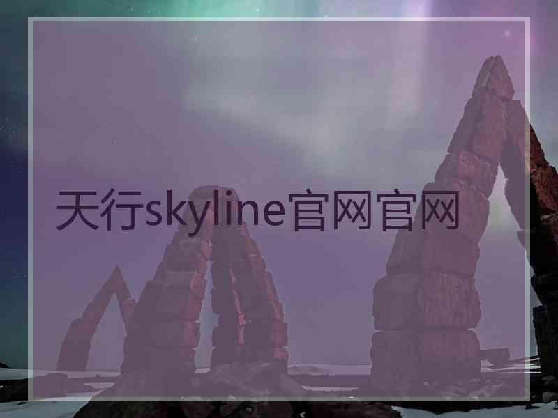 天行skyline官网官网