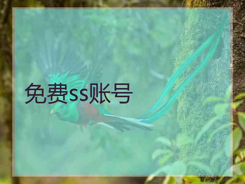 免费ss账号