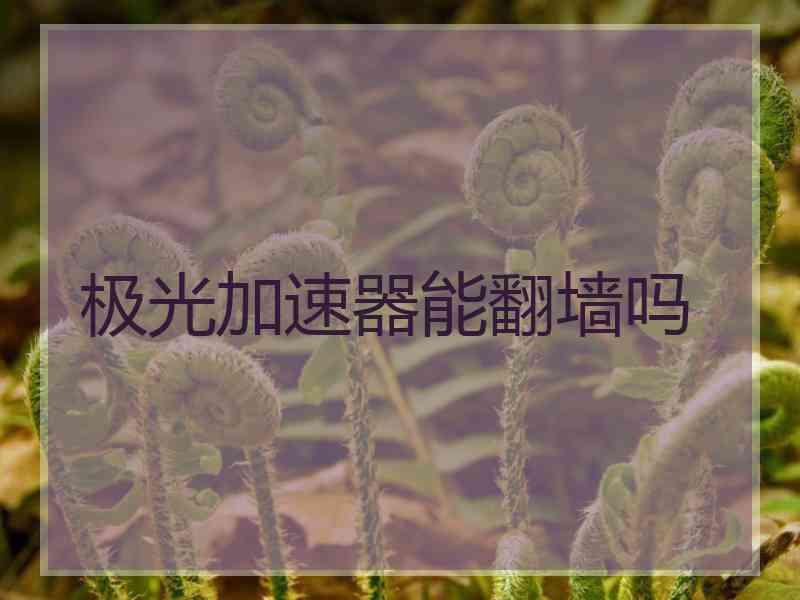 极光加速器能翻墙吗