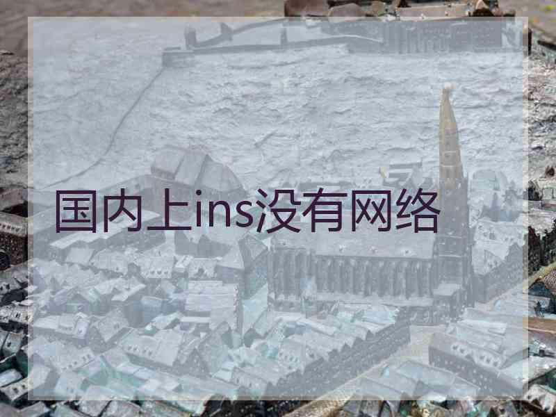 国内上ins没有网络