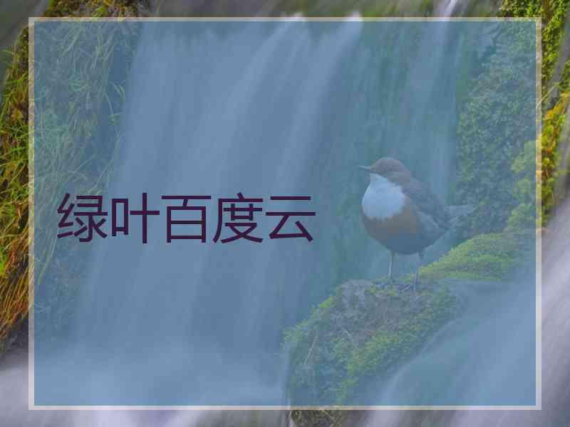 绿叶百度云
