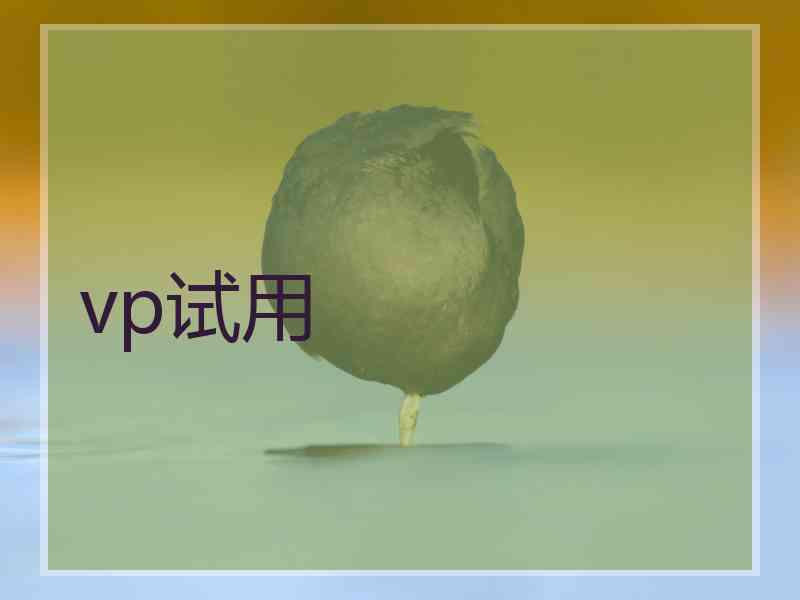 vp试用