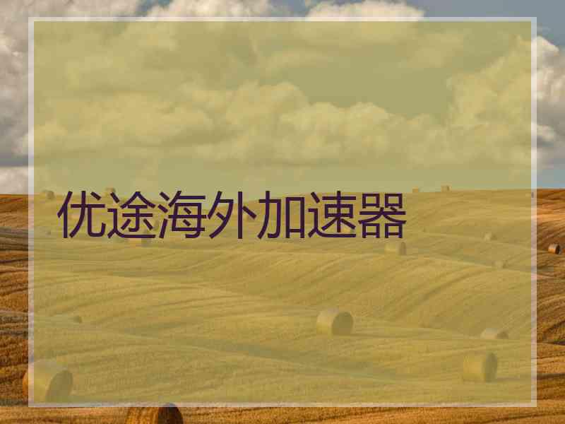 优途海外加速器