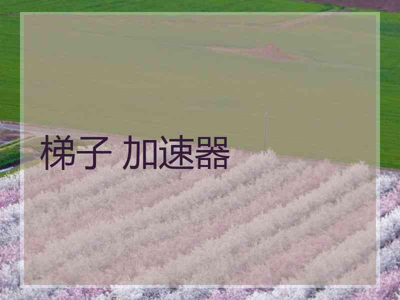 梯子 加速器