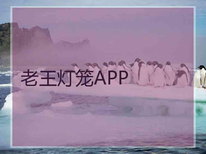 老王灯笼APP