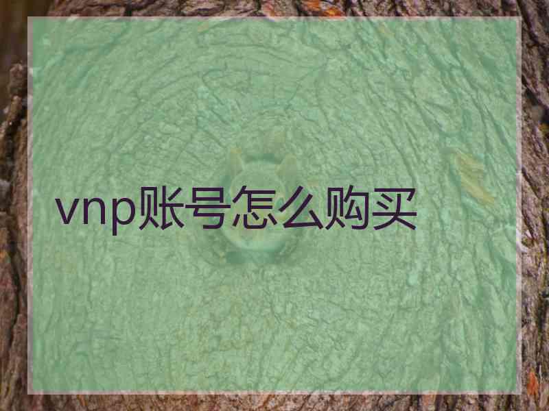 vnp账号怎么购买