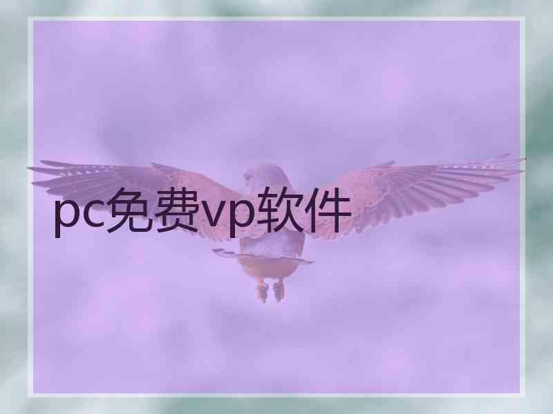 pc免费vp软件