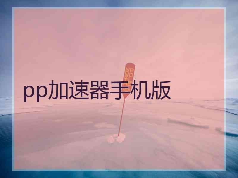 pp加速器手机版
