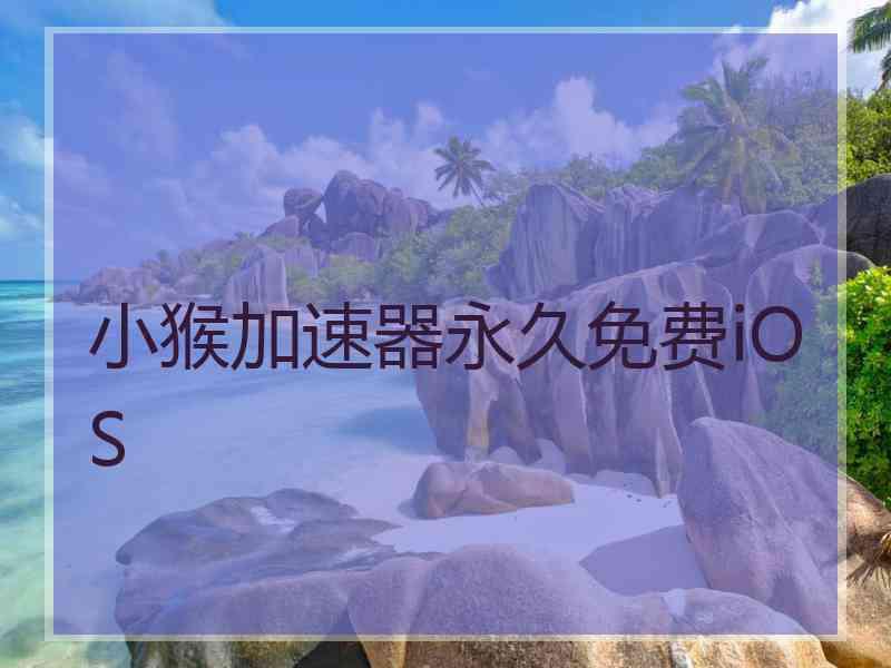 小猴加速器永久免费iOS
