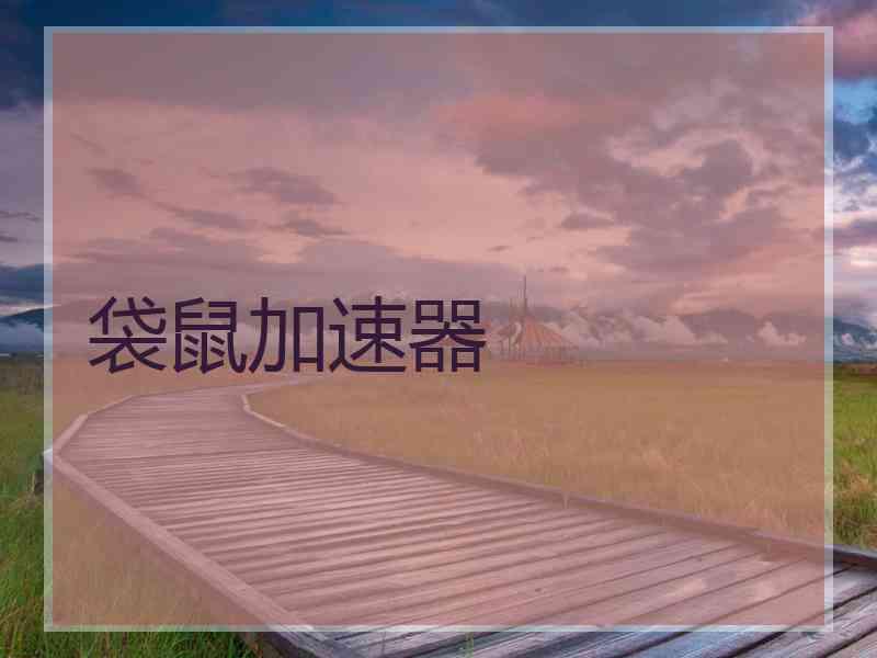 袋鼠加速器