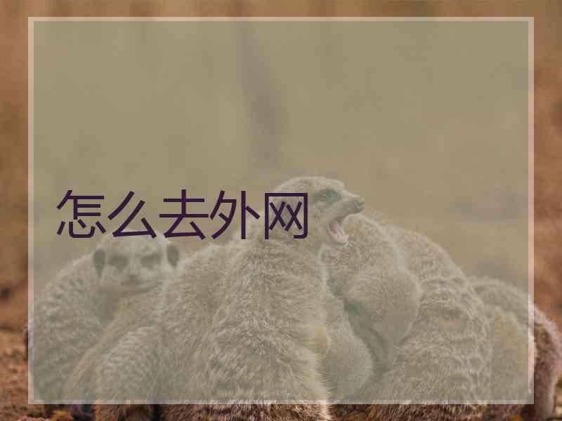 怎么去外网