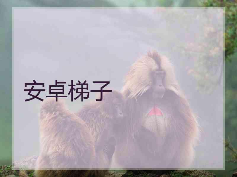 安卓梯子