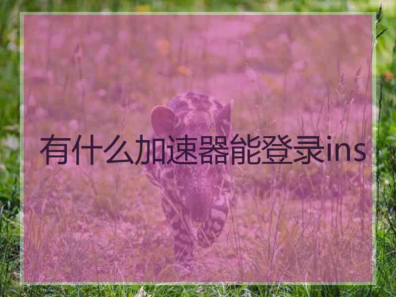 有什么加速器能登录ins