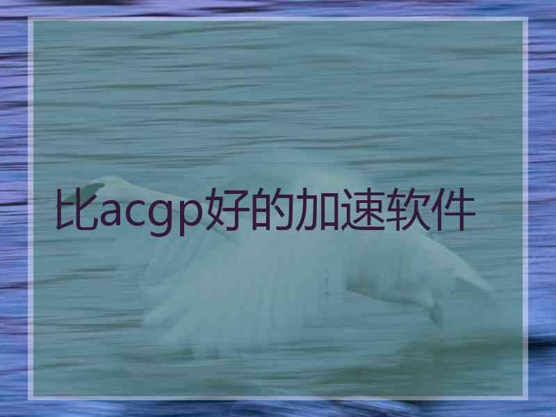 比acgp好的加速软件