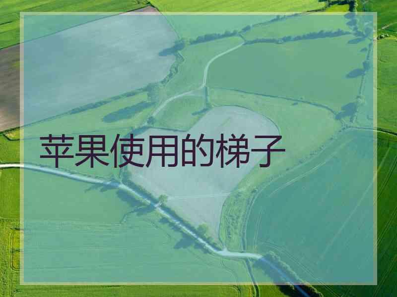 苹果使用的梯子