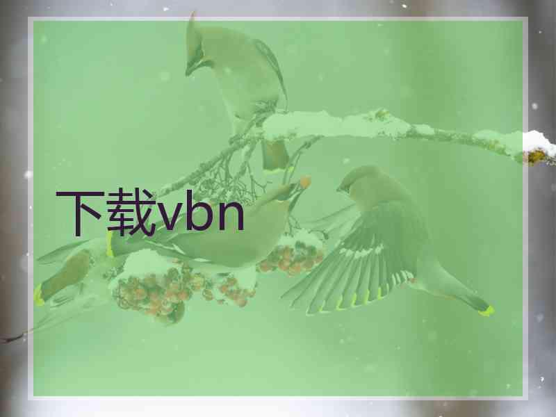 下载vbn