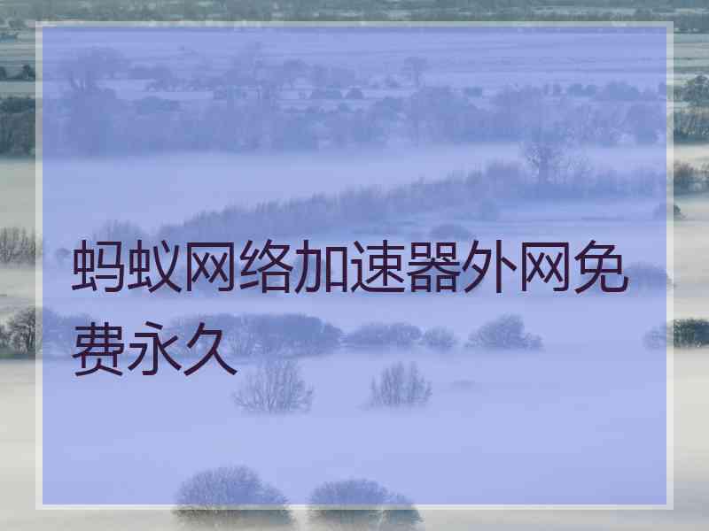 蚂蚁网络加速器外网免费永久