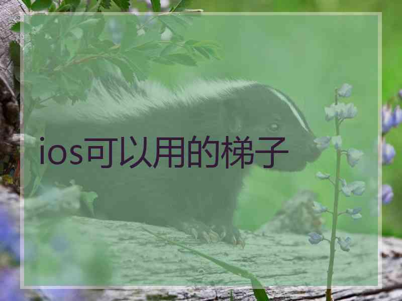 ios可以用的梯子