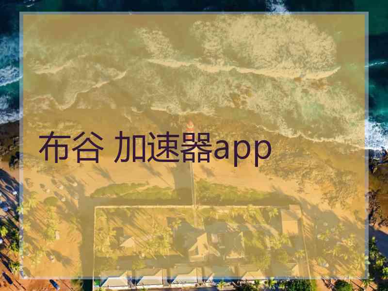 布谷 加速器app