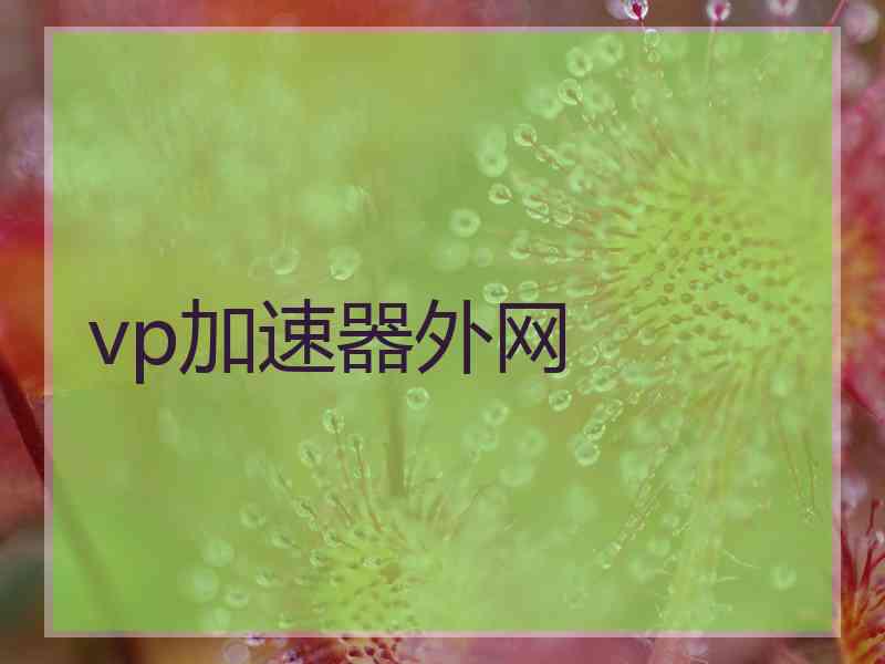 vp加速器外网