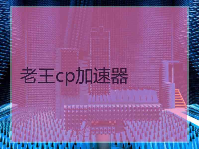 老王cp加速器