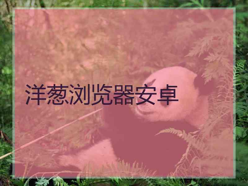 洋葱浏览器安卓