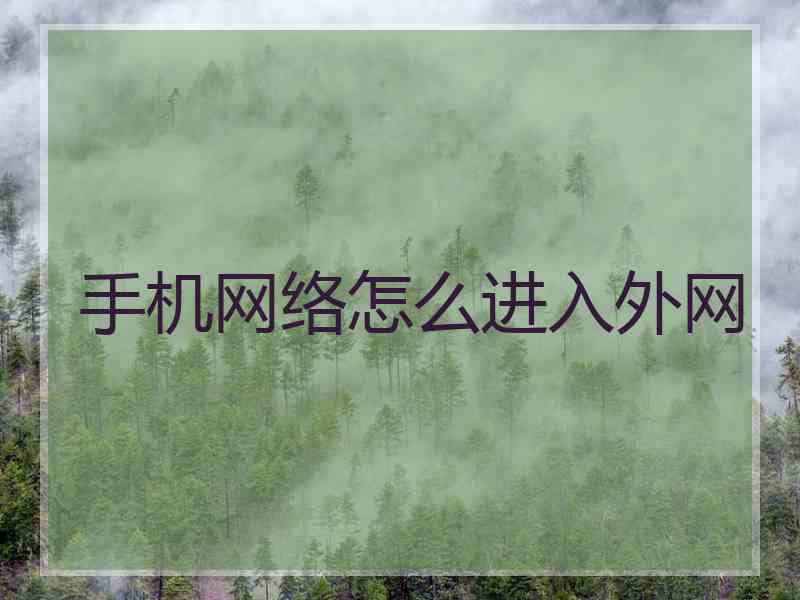 手机网络怎么进入外网