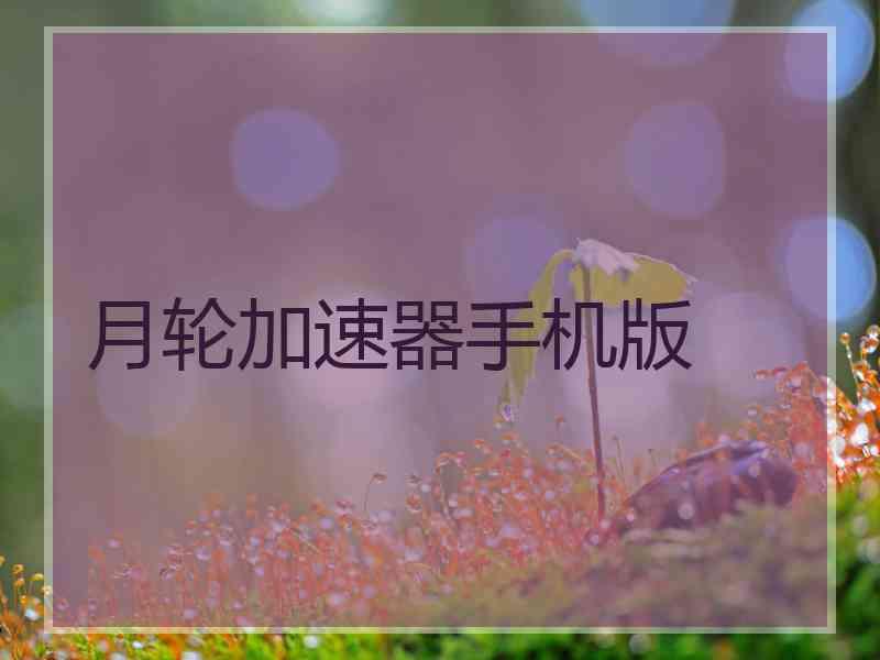 月轮加速器手机版