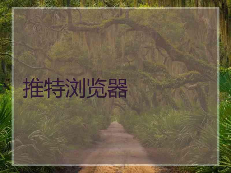 推特浏览器