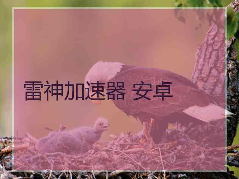 雷神加速器 安卓