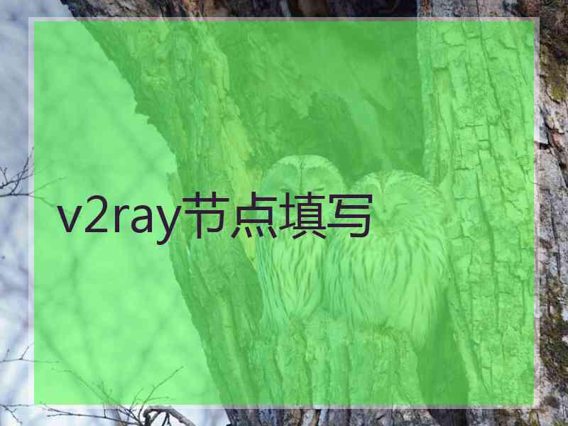 v2ray节点填写