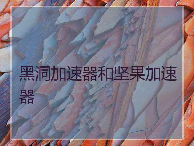 黑洞加速器和坚果加速器