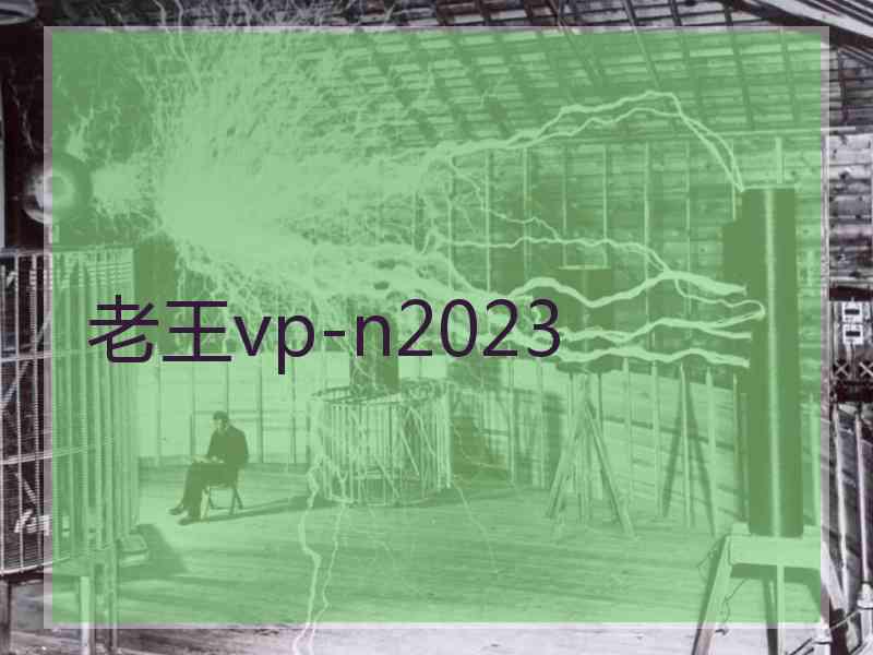 老王vp-n2023