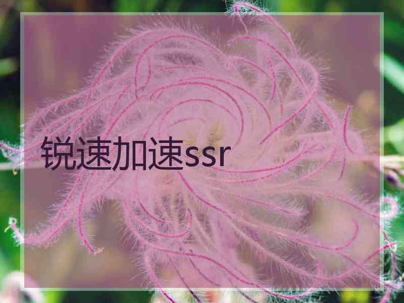 锐速加速ssr