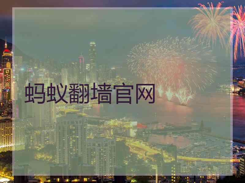 蚂蚁翻墙官网