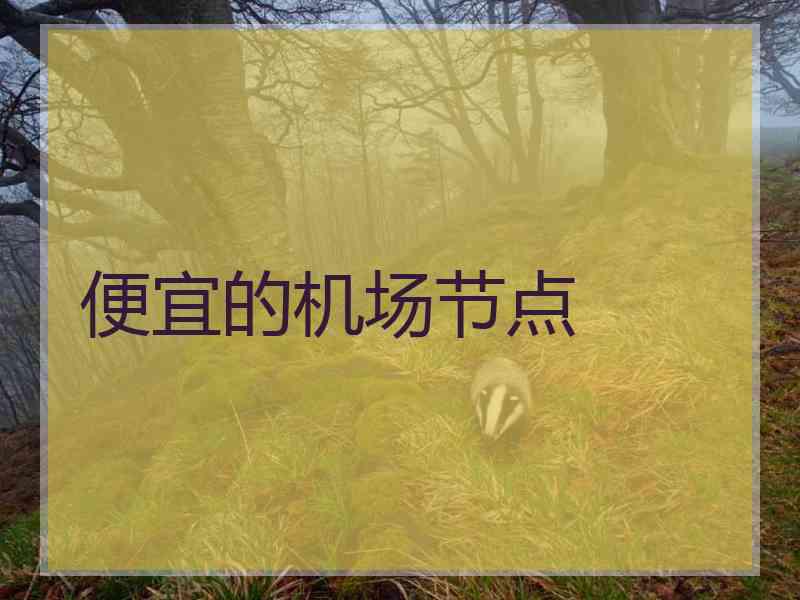 便宜的机场节点