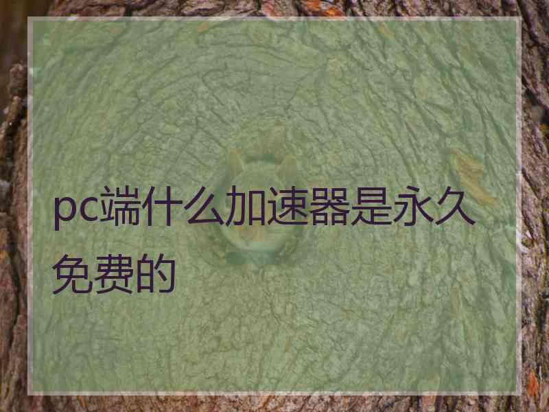 pc端什么加速器是永久免费的