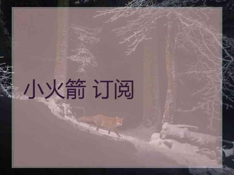 小火箭 订阅