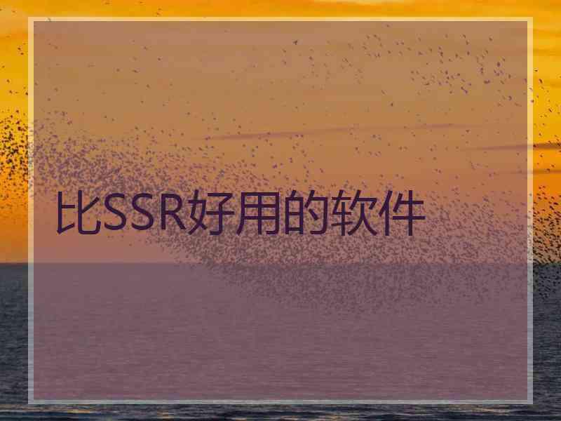 比SSR好用的软件