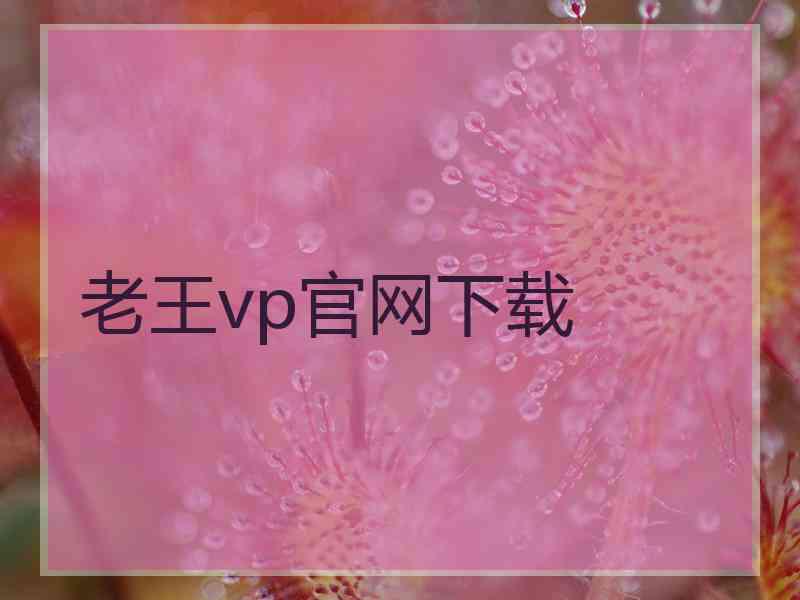 老王vp官网下载