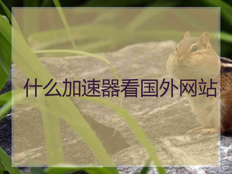 什么加速器看国外网站