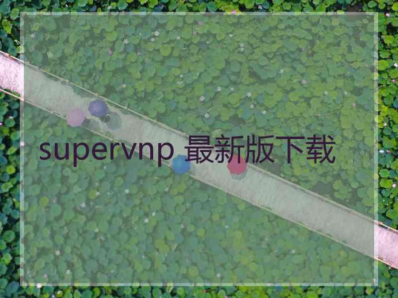 supervnp 最新版下载