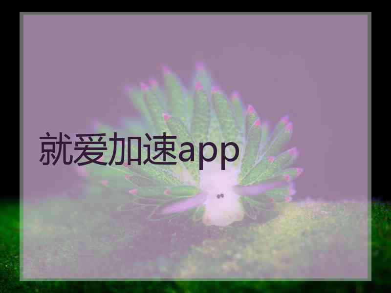 就爱加速app
