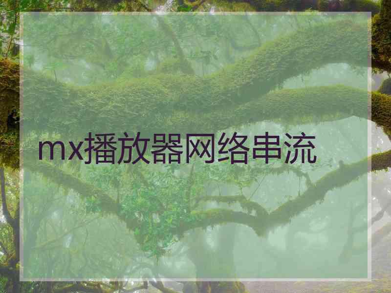 mx播放器网络串流