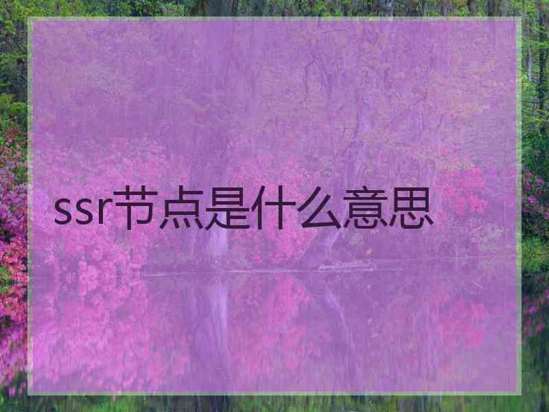 ssr节点是什么意思