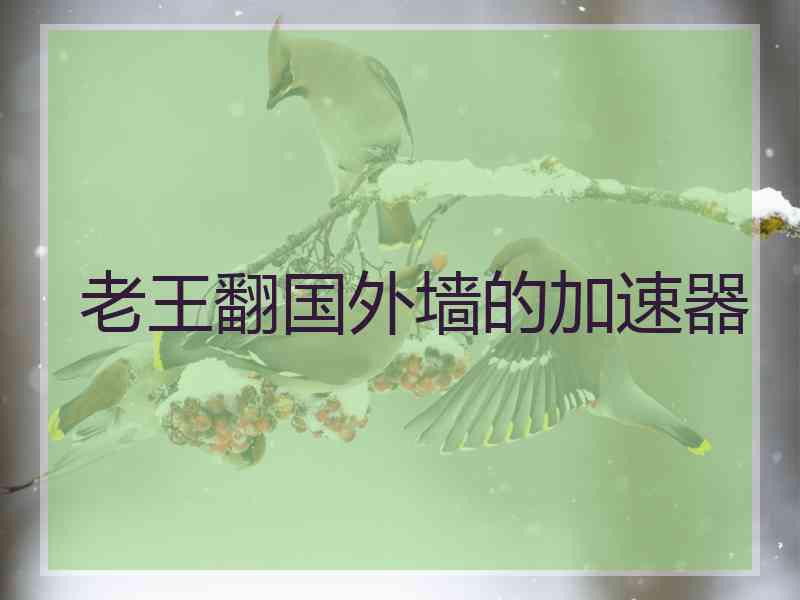 老王翻国外墙的加速器