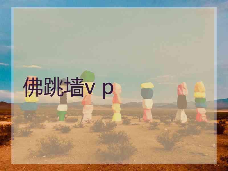 佛跳墙v p
